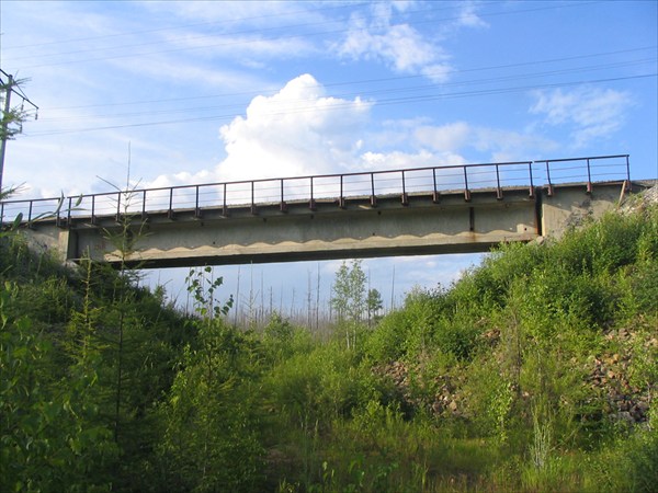 Вид на мост с дороги.